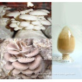 fangge GMP,HACCP,mushroom extract;Oyster mushroom extract
